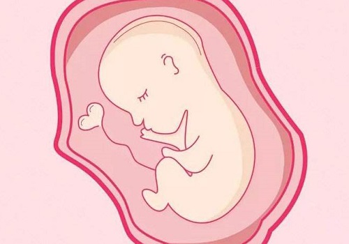 美国试管婴儿︱有效提升胚胎着床率之冻胚移植