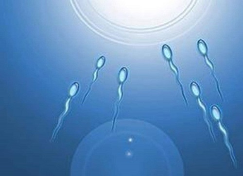 解析：有关美国试管婴儿促排／取卵的3个常见问题