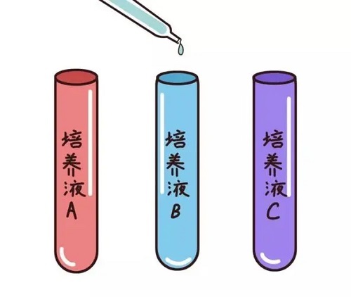 美国试管婴儿：胚胎移植后出血怎么回事？