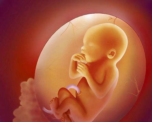 美国试管婴儿较自然受孕的优势之一：择优选择
