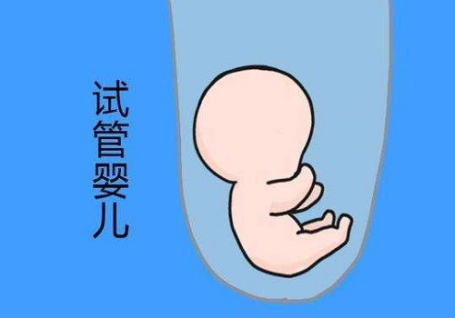 美国试管：什么样的胚胎才可以移植？