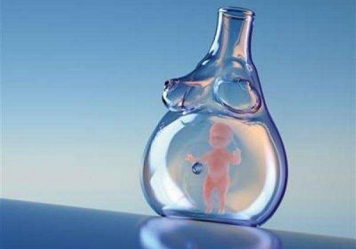 美国试管婴儿硬性条件之囊胚培育与科学移植