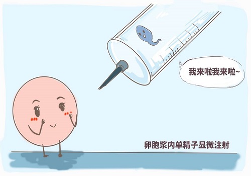 美国试管婴儿医院选择篇 一文详解5个参考指标【荐】
