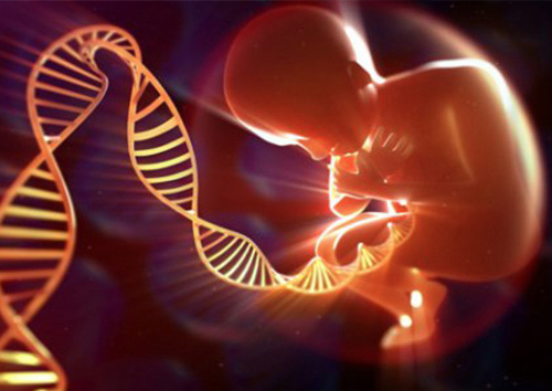 优选生命种子 为美国试管婴儿宝宝把控健康关