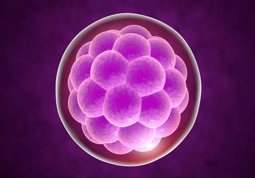 美国试管安全性解读：促排卵药对胎儿有害吗？