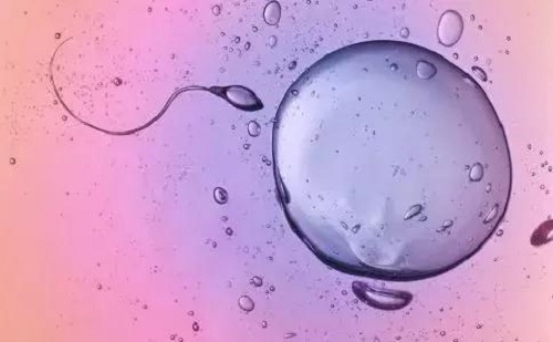 美国试管婴儿专家：子宫内膜薄与试管婴儿成功率关系大吗？