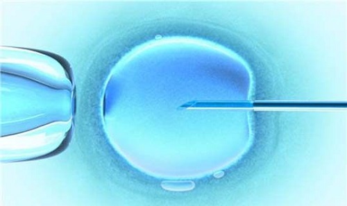 胚胎质量差、碎片多，美国试管婴儿怎么办？