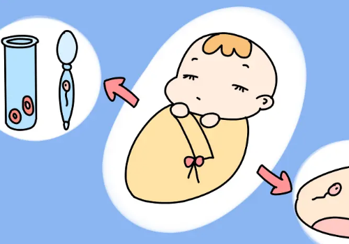 三代试管婴儿的流程是什么