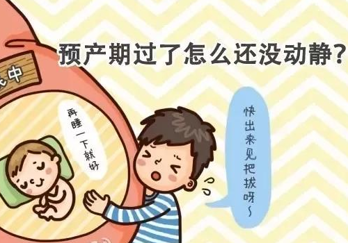 试管婴儿医院做试管婴儿的步骤有什么