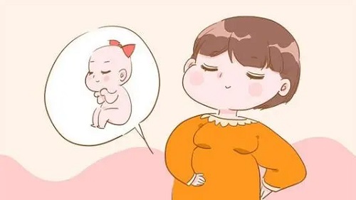 俄罗斯试管计划受阻的主要的原因是什么